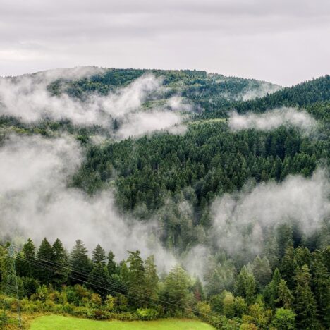 Tarnów: A City of Contradictions